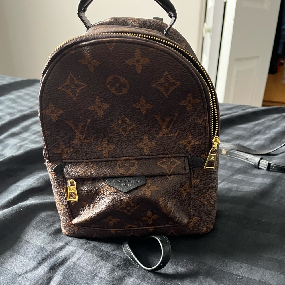 Louis Vuitton Palm Springs mini backpack